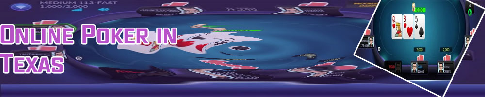 Private online poker rooms